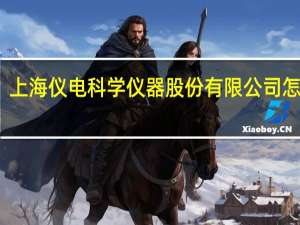 上海仪电科学仪器股份有限公司怎么样