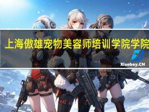 上海傲雄宠物美容师培训学院学院环境