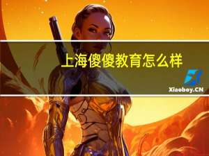 上海傻傻教育怎么样