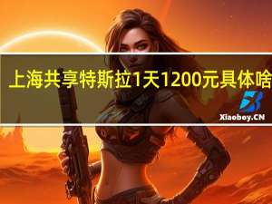 上海共享特斯拉1天1200元 具体啥情况