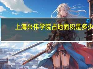 上海兴伟学院占地面积是多少