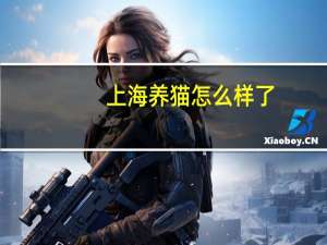 上海养猫怎么样了