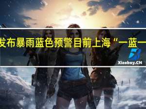 上海刚刚发布暴雨蓝色预警 目前上海“一蓝一黄”双预警高挂