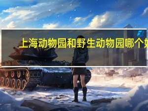上海动物园和野生动物园哪个好
