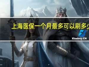 上海医保一个月最多可以刷多少