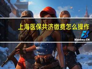 上海医保共济缴费怎么操作
