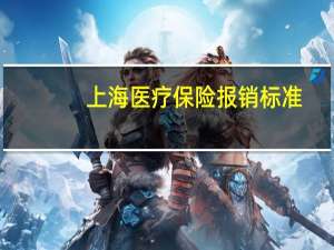 上海医疗保险报销标准