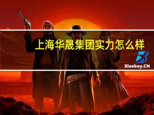 上海华晟集团实力怎么样