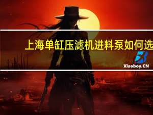 上海单缸压滤机进料泵如何选