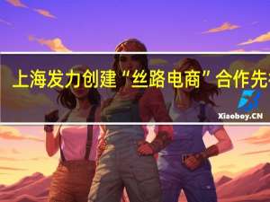 上海发力创建“丝路电商”合作先行区