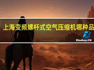 上海变频螺杆式空气压缩机哪种品牌好