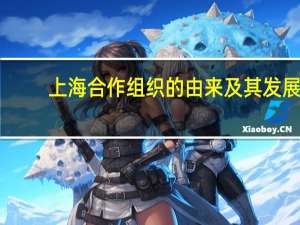 上海合作组织的由来及其发展？