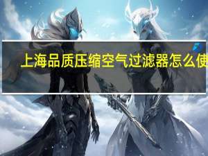 上海品质压缩空气过滤器怎么使用