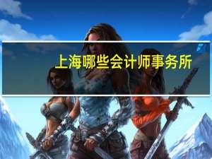 上海哪些会计师事务所
