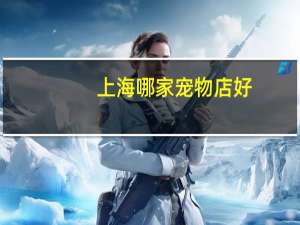 上海哪家宠物店好