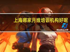 上海哪家月嫂培训机构好呢