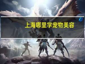 上海哪里学宠物美容