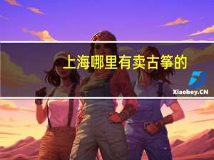 上海哪里有卖古筝的