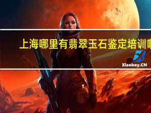 上海哪里有翡翠玉石鉴定培训啊