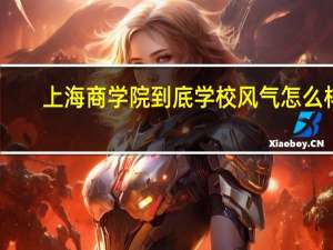 上海商学院到底学校风气怎么样