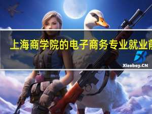 上海商学院的电子商务专业就业前景