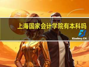 上海国家会计学院有本科吗