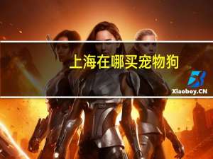 上海在哪买宠物狗
