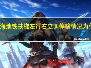 上海地铁扶梯左行右立叫停啥情况为什么叫停