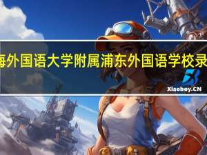 上海外国语大学附属浦东外国语学校录取分数线