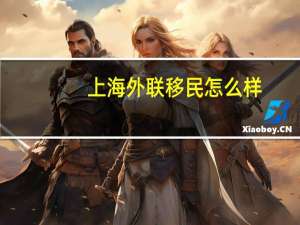 上海外联移民怎么样