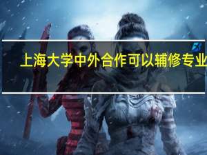 上海大学中外合作可以辅修专业吗
