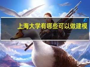 上海大学有哪些可以做建模