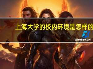 上海大学的校内环境是怎样的