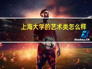 上海大学的艺术类怎么样