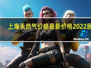 上海天然气价格最新价格2022居民（上海天然气价格）
