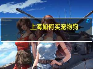 上海如何买宠物狗