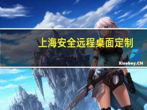 上海安全远程桌面定制（上海安全员c证查询）