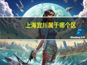 上海宜川属于哪个区