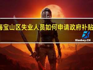 上海宝山区失业人员如何申请政府补贴职业培训