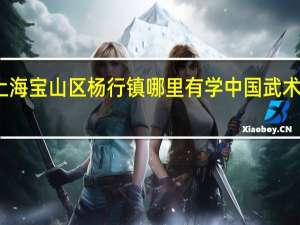上海宝山区杨行镇哪里有学中国武术的地方