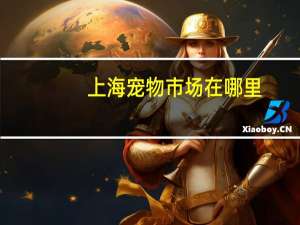 上海宠物市场在哪里