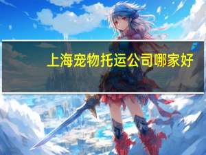 上海宠物托运公司哪家好