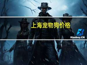 上海宠物狗价格