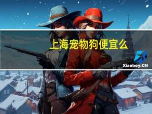 上海宠物狗便宜么