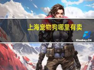 上海宠物狗哪里有卖