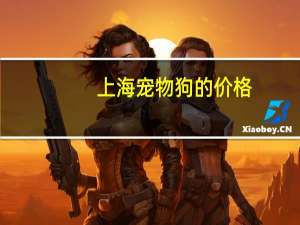 上海宠物狗的价格