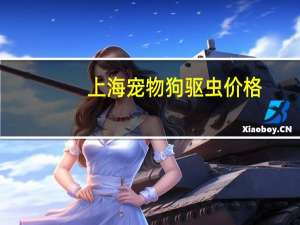 上海宠物狗驱虫价格