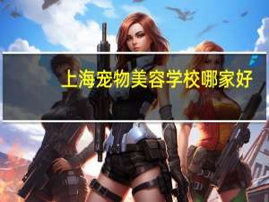 上海宠物美容学校哪家好