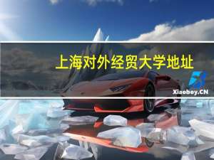 上海对外经贸大学地址