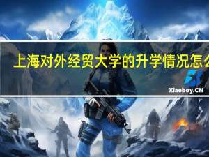 上海对外经贸大学的升学情况怎么样